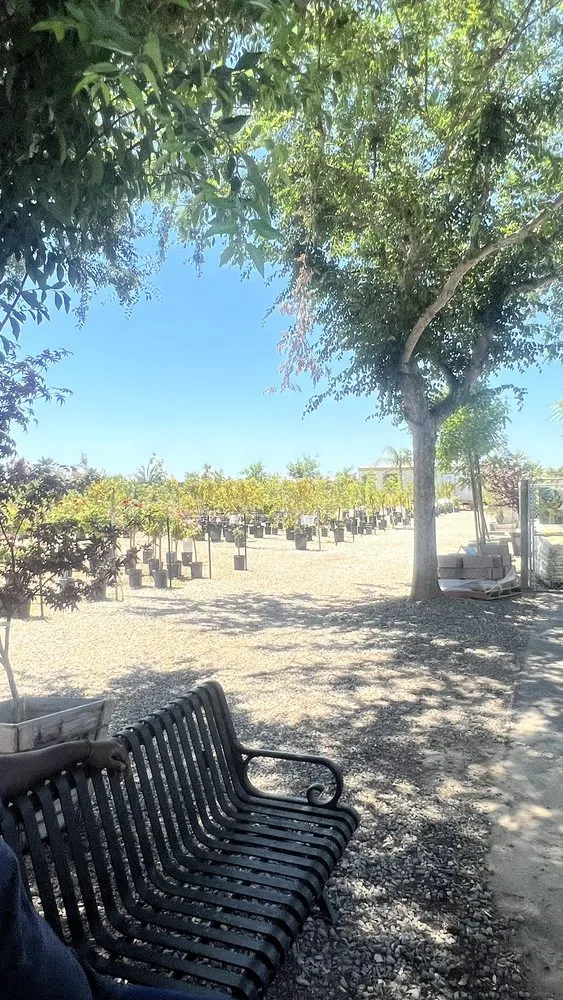 Local landscape design for outdoor upgrades across Fresno, CA - Lotus Gardens Outdoor Living Center