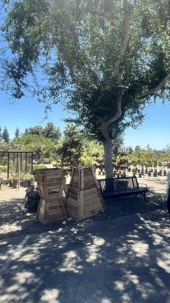 Professional residential landscaping with custom design in Fresno, CA by Lotus Gardens Outdoor Living Center