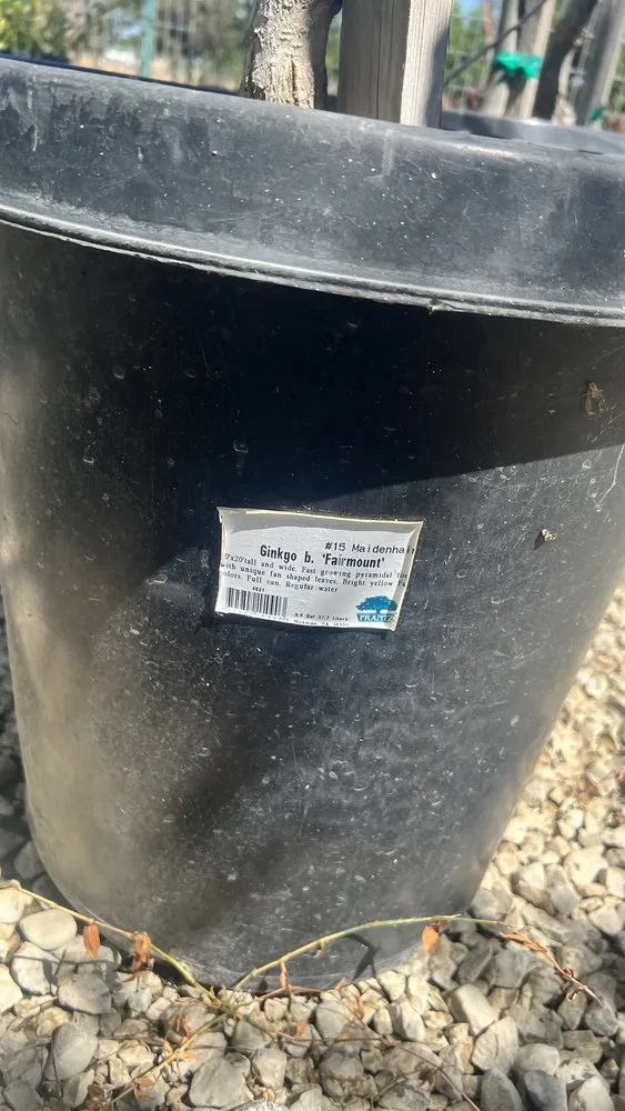 Expert landscape design experts serving Fresno, CA - Lotus Gardens Outdoor Living Center