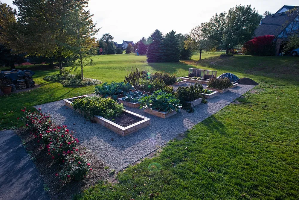 Expert yard maintenance in Dexter, MI - Lotus Gardenscapes
