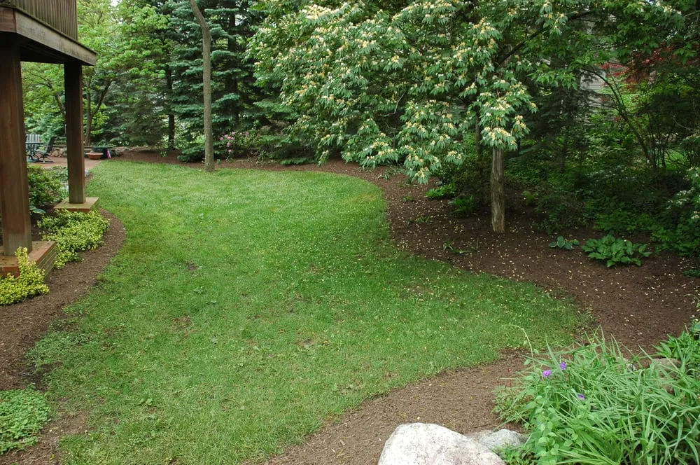 Professional landscaping services for outdoor upgrades across Dexter, MI - Lotus Gardenscapes
