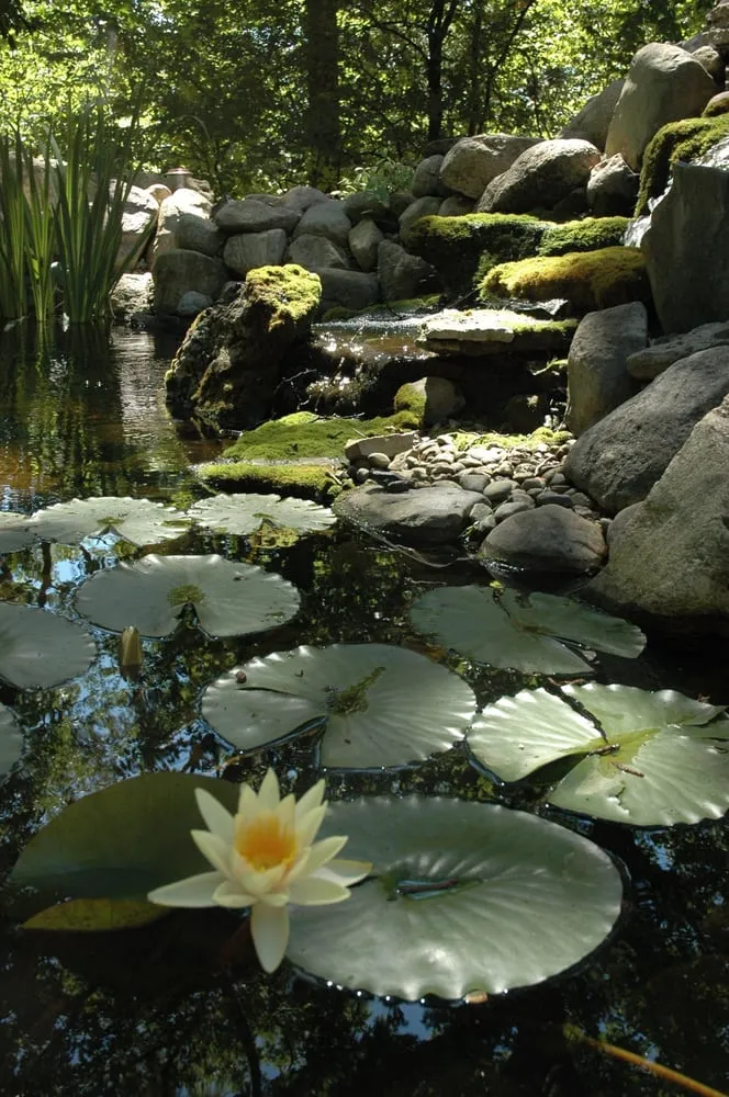 Custom lawn mowing service in Dexter, MI - Lotus Gardenscapes