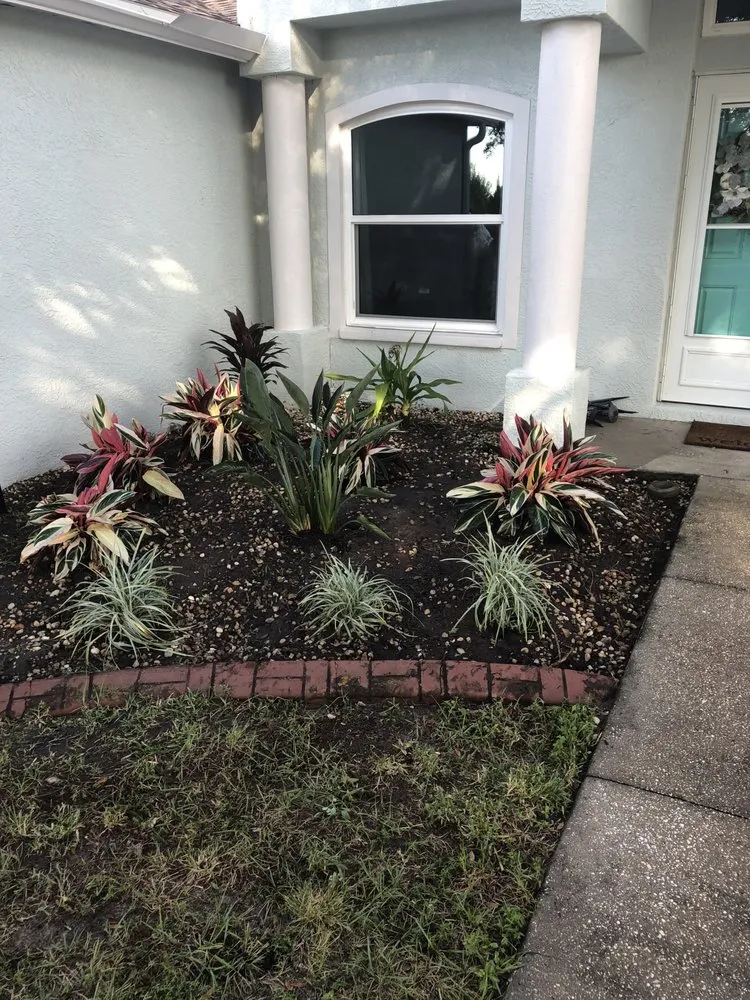 Local lawn care service for homes in Polk City, FL by Lotus Landscape & Irrigation