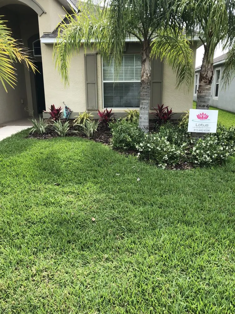 Custom lawn care service for residential properties in Polk City, FL by Lotus Landscape & Irrigation