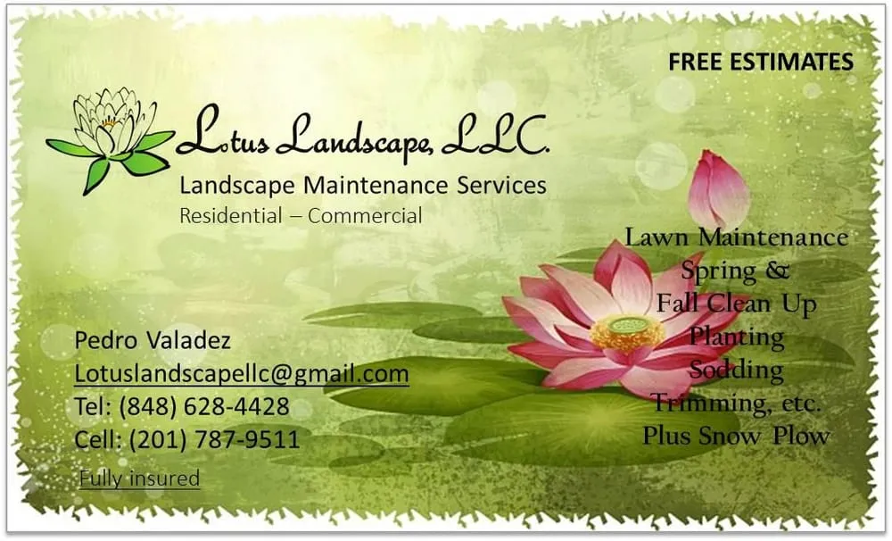 Top-rated landscape design in Rahway, NJ by Lotus Landscape