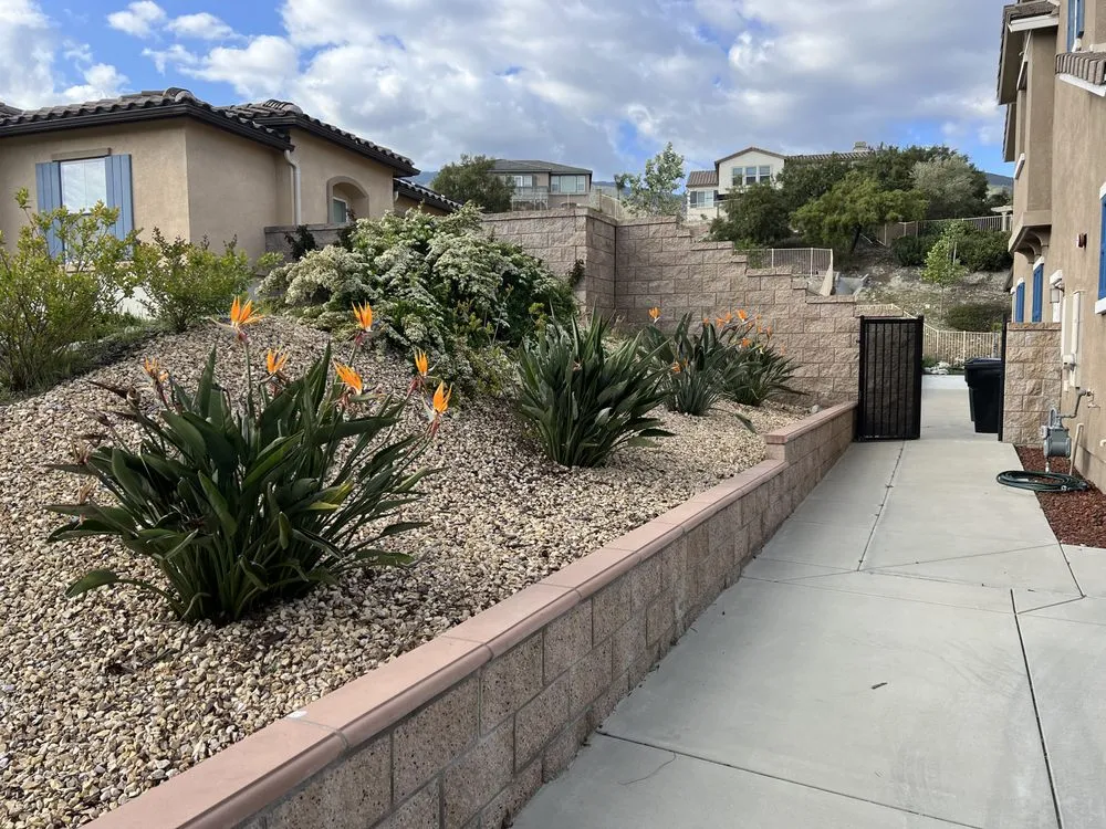 Expert landscape installation in Irvine, CA by Lotus Landscapes