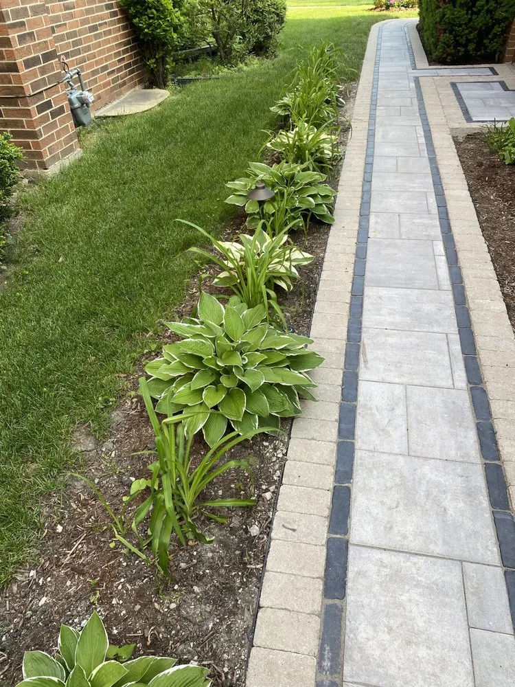 Trusted yard cleanup service in Arlington Heights, IL - Lotus Landscaping & Tree Service