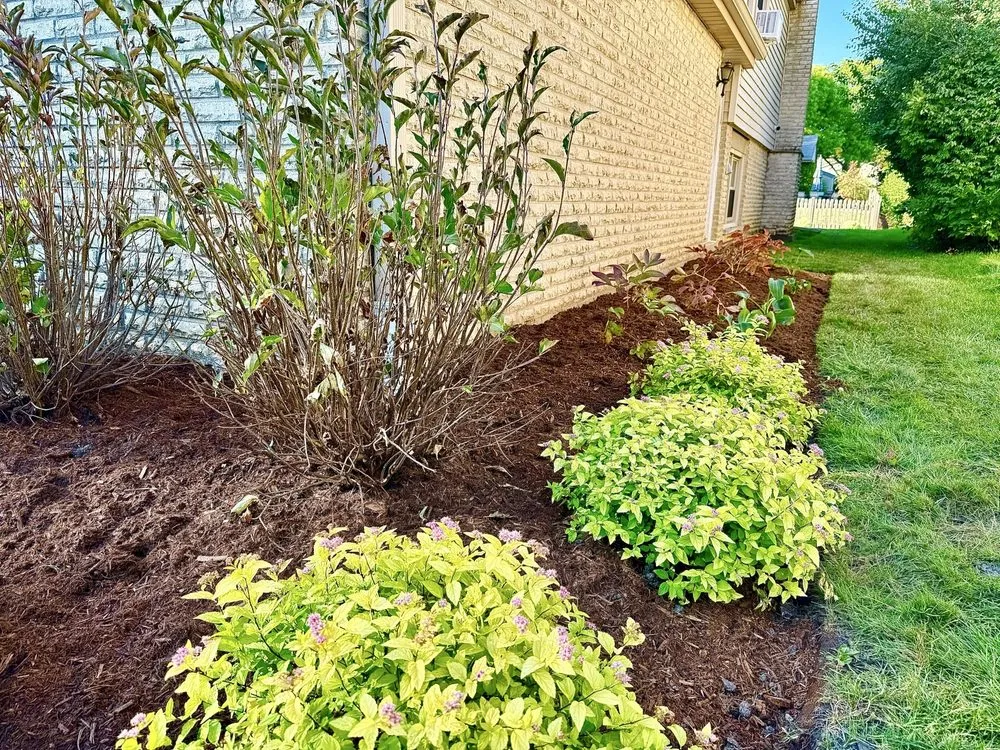 Expert landscape installation in Arlington Heights, IL by Lotus Landscaping & Tree Service