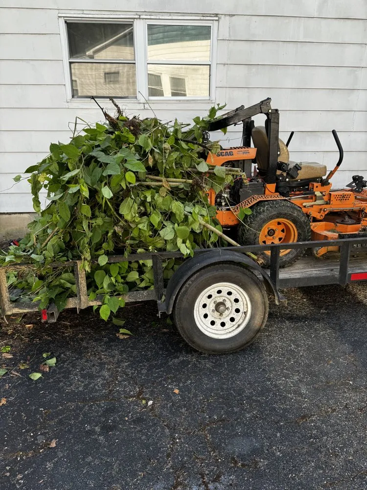 Affordable lawn mowing service experts serving Castlewood, VA - Lotus Landscaping and Lawn Care