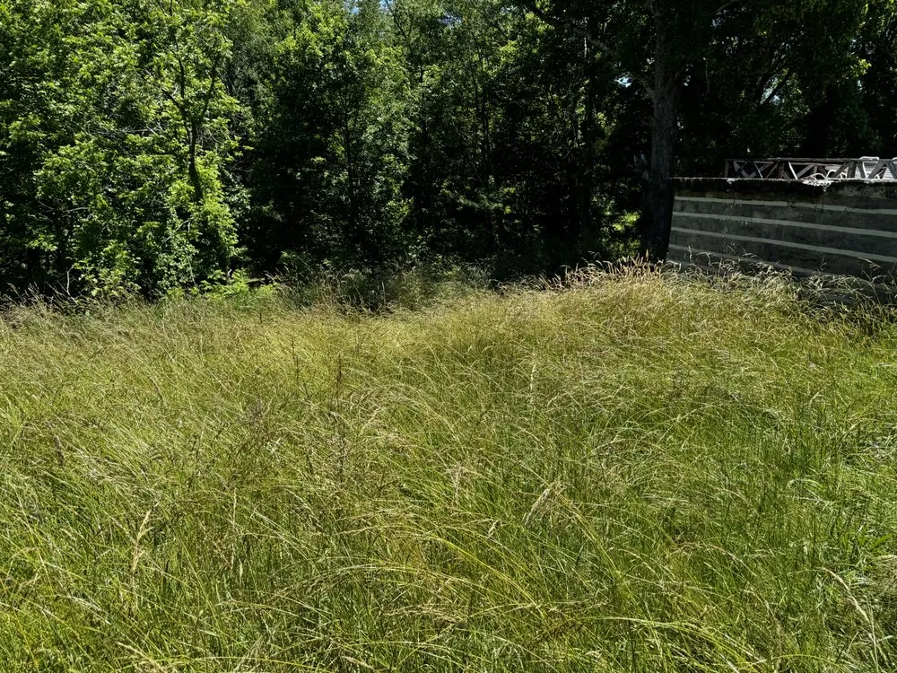 Trusted residential landscaping near you in Castlewood, VA by Lotus Landscaping and Lawn Care