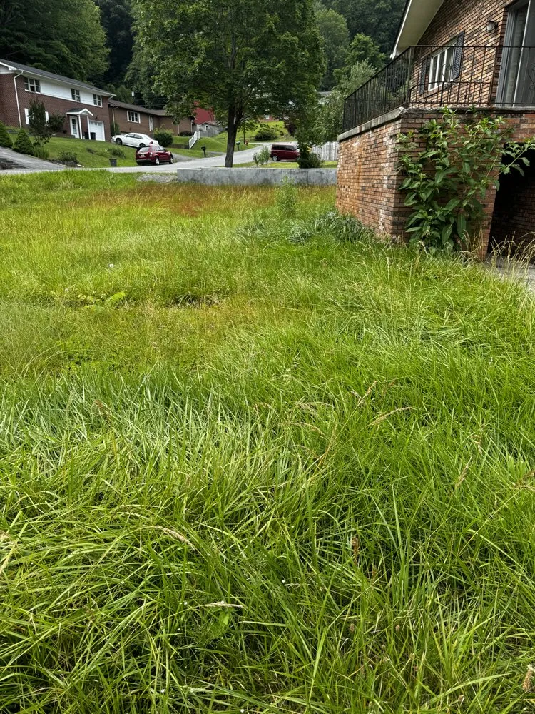 Custom garden landscaping for residential properties across Castlewood, VA - Lotus Landscaping and Lawn Care