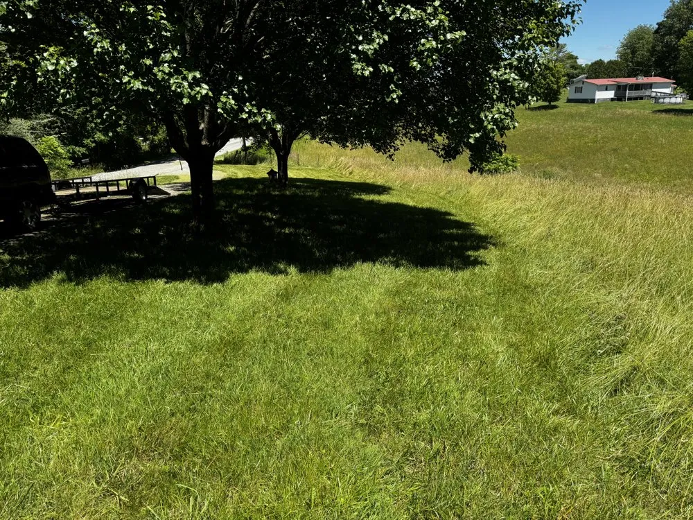 Top-rated lawn care service experts serving Castlewood, VA - Lotus Landscaping and Lawn Care