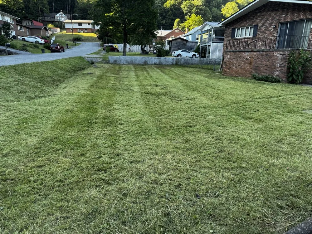 Professional lawn care service in Castlewood, VA - Lotus Landscaping and Lawn Care