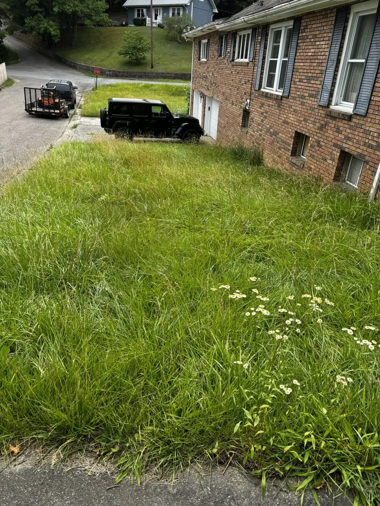 Top-rated garden landscaping with custom design across Castlewood, VA - Lotus Landscaping and Lawn Care