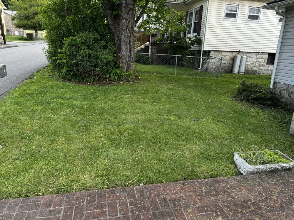 Top-rated landscaping services in Castlewood, VA - Lotus Landscaping and Lawn Care