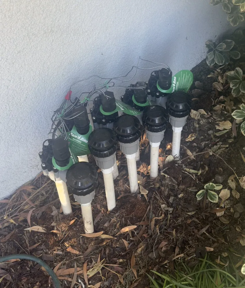 Top-rated landscape design in Livermore, CA - Lotus Landscaping