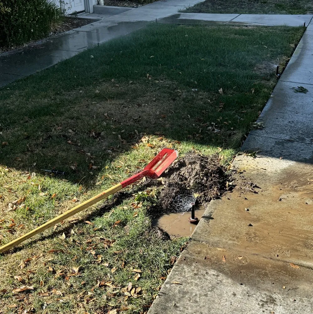Professional yard cleanup service for residential properties across Livermore, CA - Lotus Landscaping