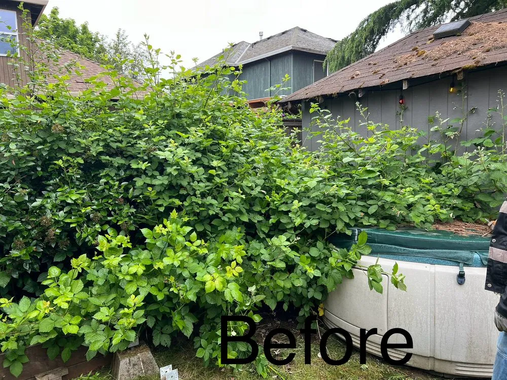 Top-rated residential landscaping for homes in Beaverton, OR by Lotus LawnCare Services