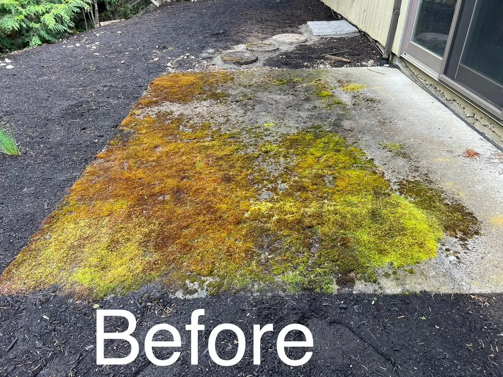 Reliable lawn care service for beautiful yards across Beaverton, OR - Lotus LawnCare Services