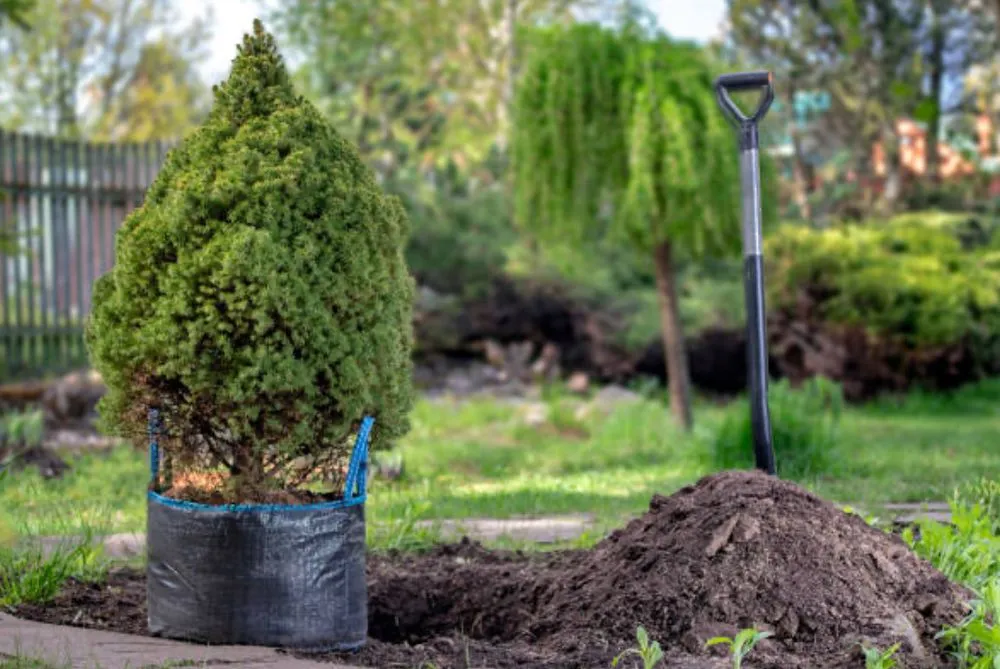 Affordable yard cleanup service in Cranston, RI by Lotus Path Landscaping