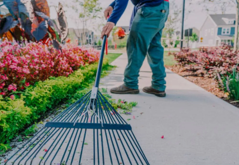 Affordable outdoor landscaping in Cranston, RI by Lotus Path Landscaping