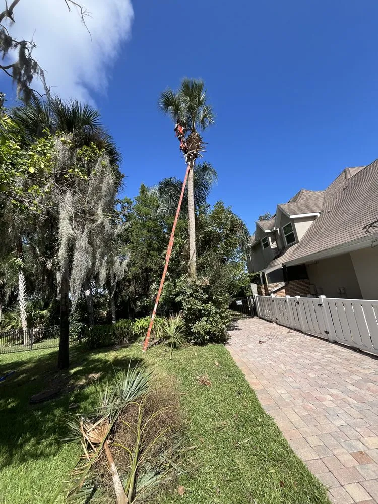 Professional yard cleanup service in Daytona Beach, FL by Loucain Lawn Care