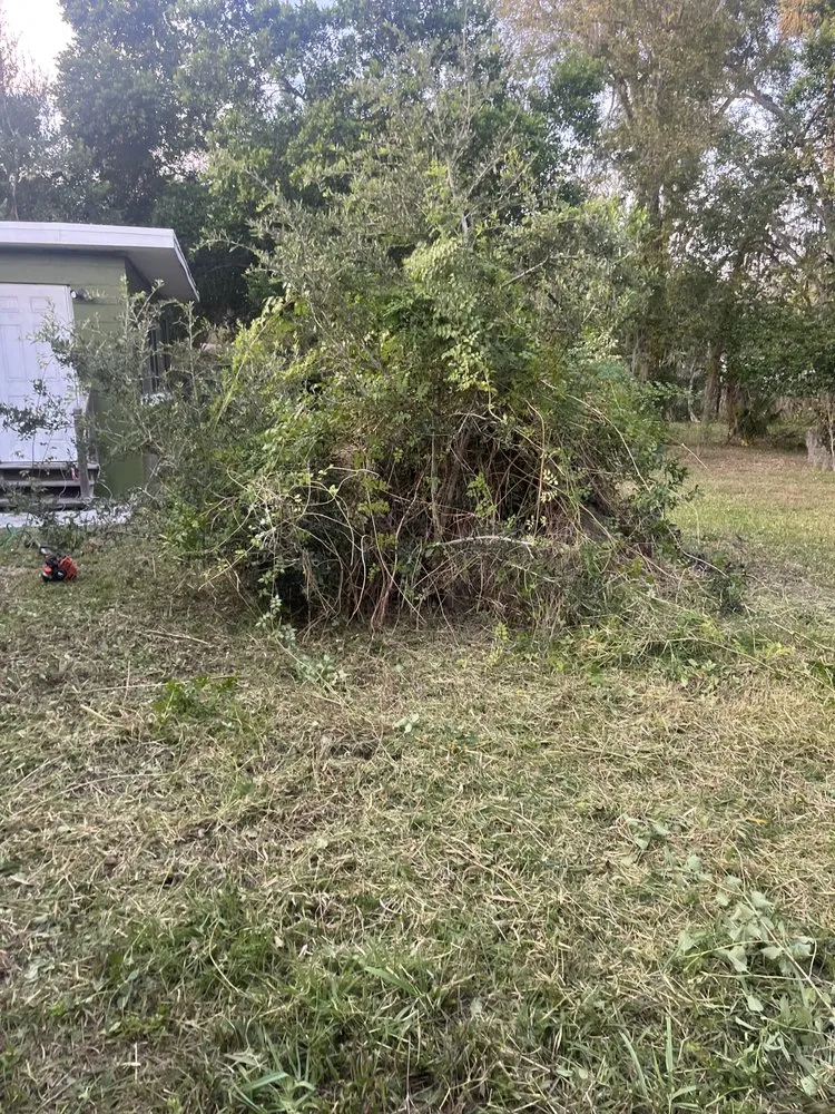 Professional garden landscaping in Daytona Beach, FL - Loucain Lawn Care