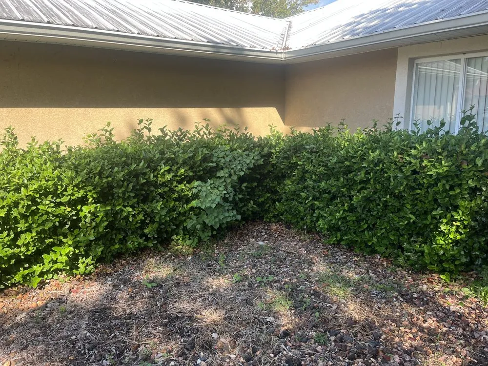 Professional landscape design for year-round maintenance in Daytona Beach, FL by Loucain Lawn Care