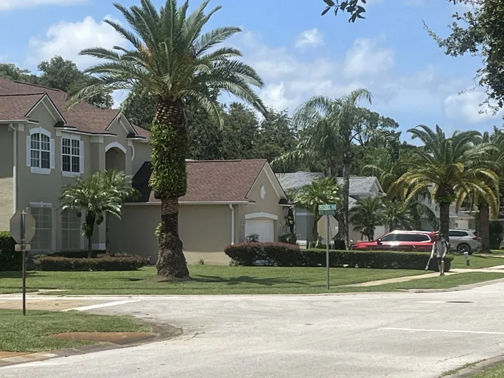 Professional yard cleanup service in Daytona Beach, FL by Loucain Lawn Care