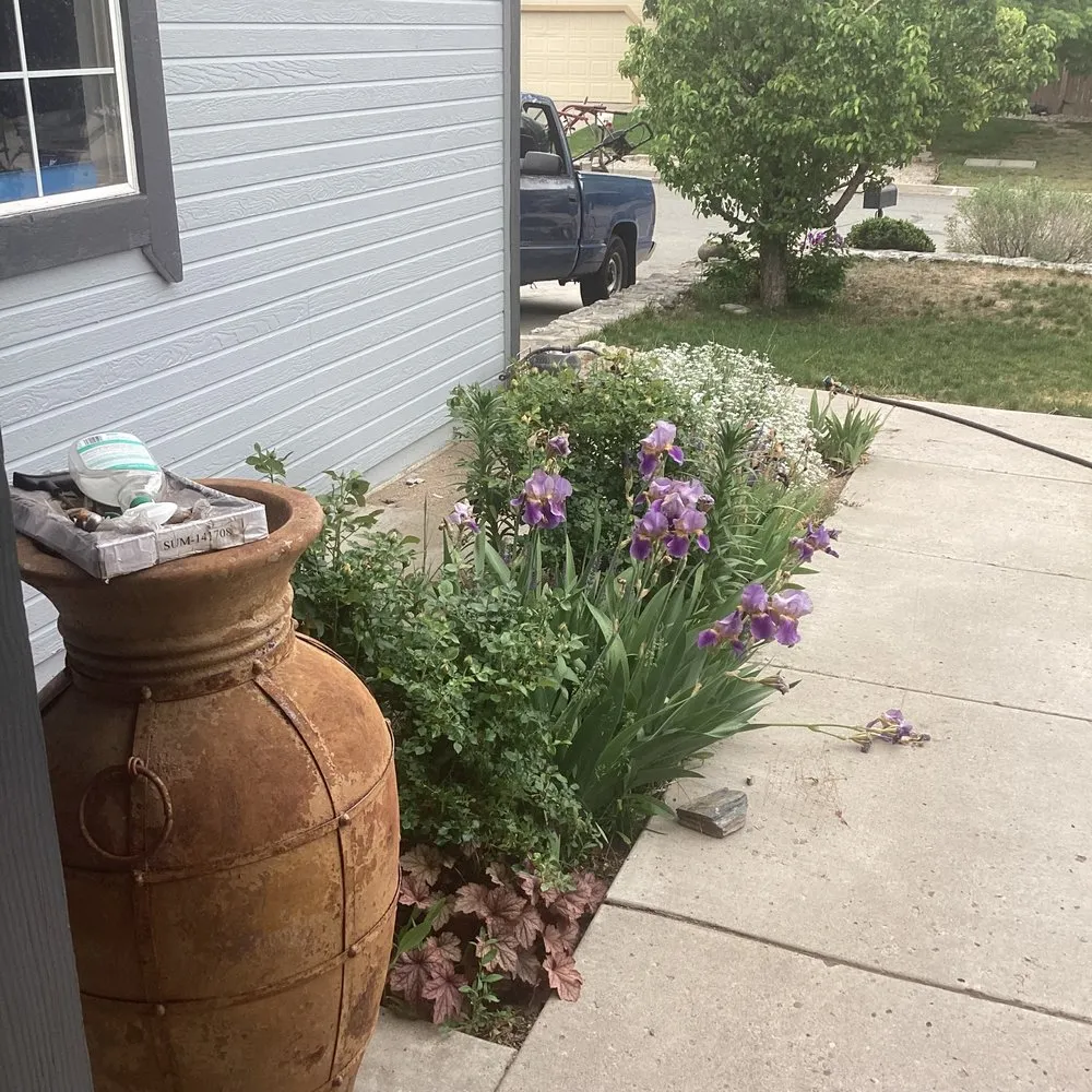 Local lawn care service for outdoor upgrades in Sparks, NV by Loudindustries888