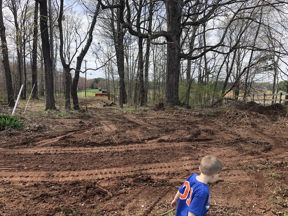 Top-rated outdoor landscaping experts serving Leesburg, VA - Loudoun Mowing and Loader