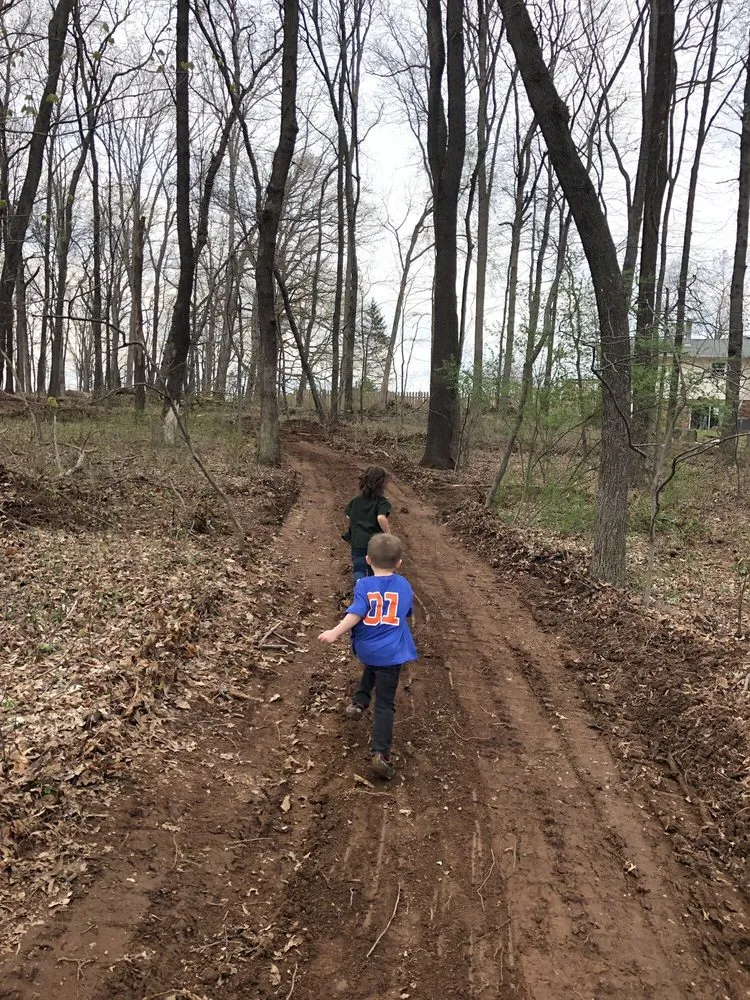 Expert landscape installation for beautiful yards in Leesburg, VA by Loudoun Mowing and Loader