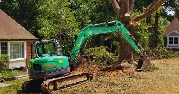 Reliable yard maintenance in Leesburg, VA - Loudoun Mowing and Loader