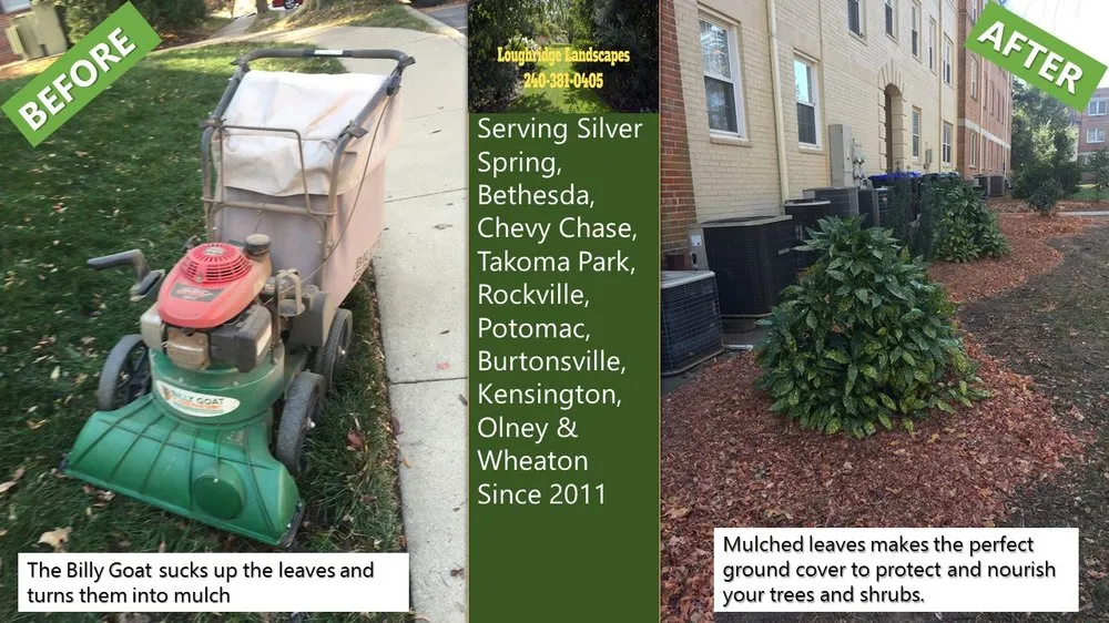 Affordable landscaping services in Silver Spring, MD by Loughridge Landscapes