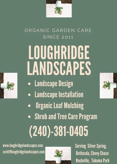 Local residential landscaping experts serving Silver Spring, MD - Loughridge Landscapes