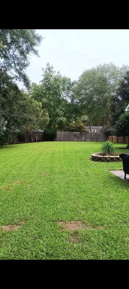 Trusted outdoor landscaping for homes in Myrtle Beach, SC by Louie Landscape