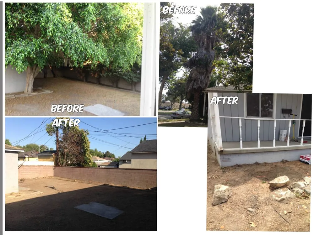 Professional landscape design for residential properties in Long Beach, CA by Louie's Gardening & Landscape