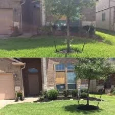 Professional landscape design in Houston, TX - Louies Landscaping