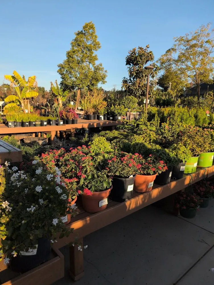 Affordable outdoor landscaping in Riverside, CA by Louie's Nursery