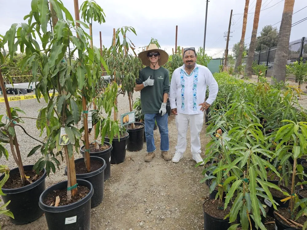 Custom yard maintenance with custom design across Riverside, CA - Louie's Nursery