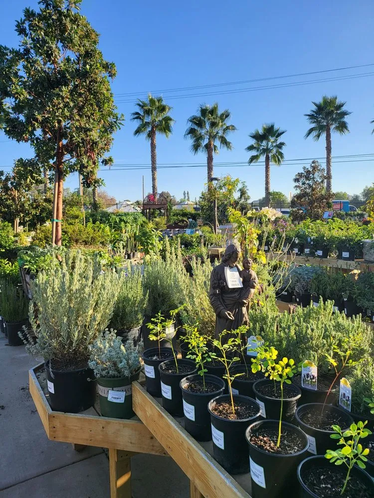 Local landscaping services in Riverside, CA by Louie's Nursery