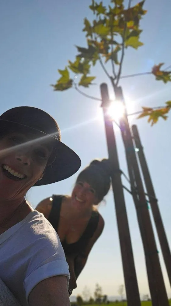 Top-rated residential landscaping with custom design across Riverside, CA - Louie's Nursery