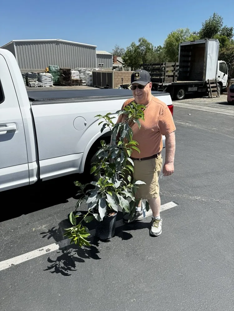 Professional residential landscaping in Riverside, CA by Louie's Nursery