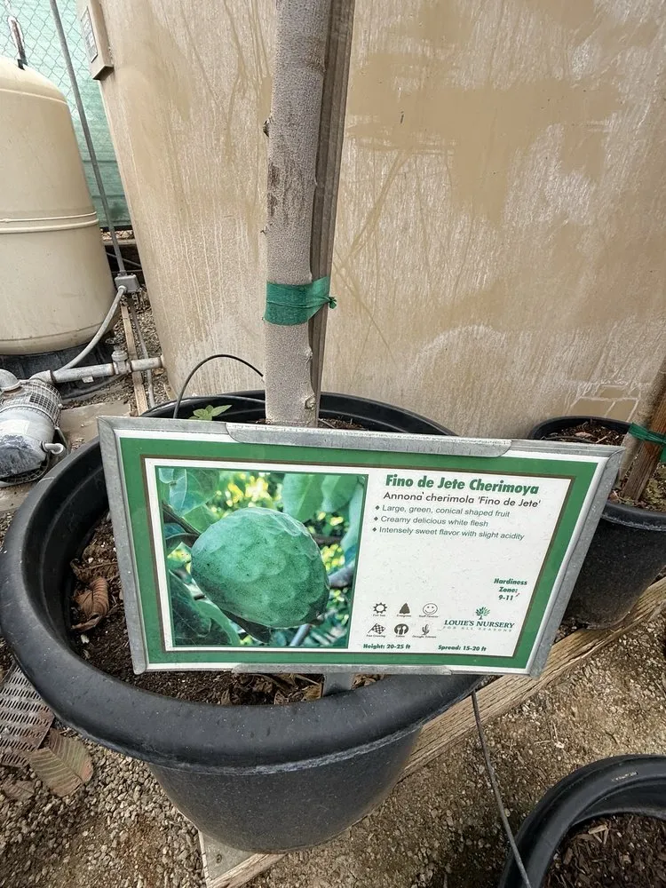 Local lawn care service for outdoor upgrades in Riverside, CA by Louie's Nursery