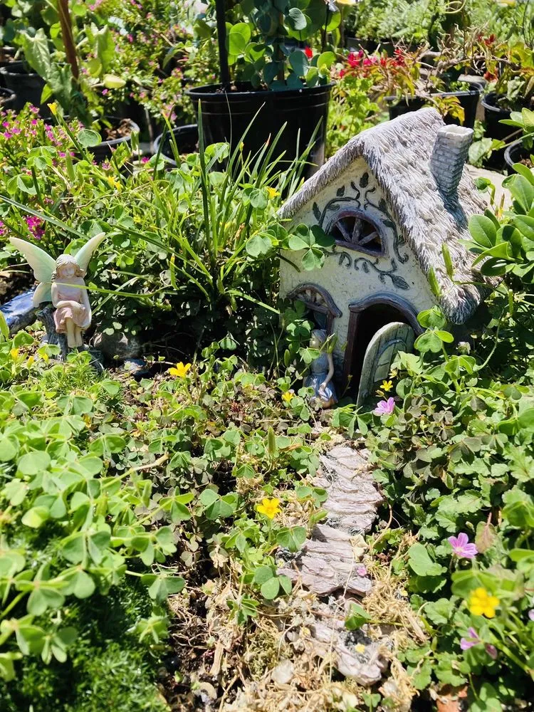 Top-rated lawn mowing service in Riverside, CA - Louie's Nursery