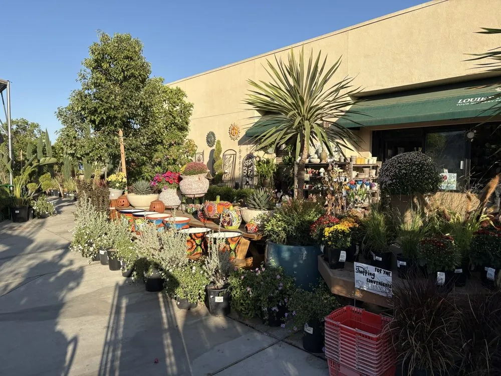 Professional landscape installation with custom design across Riverside, CA - Louie's Nursery