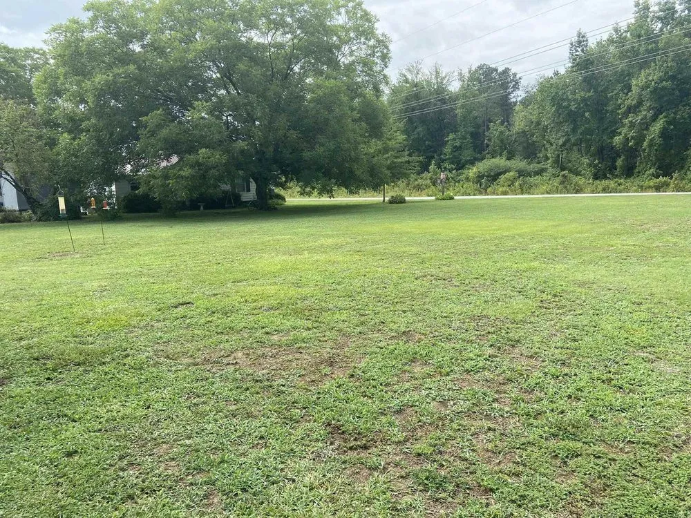 Affordable landscape installation in Clayton, NC - Louis and Co