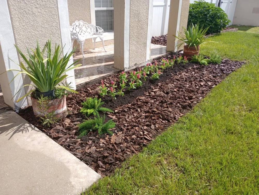 Professional yard cleanup service in Orange City, FL by Louis and Stardema Elite Landscaping