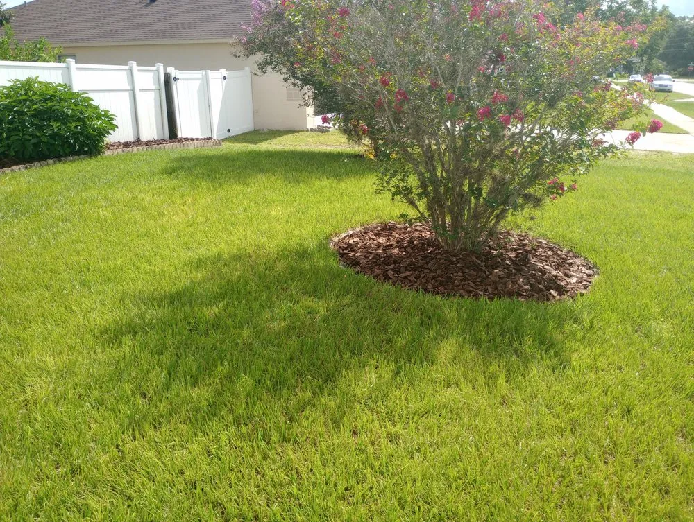 Top-rated garden landscaping in Orange City, FL by Louis and Stardema Elite Landscaping