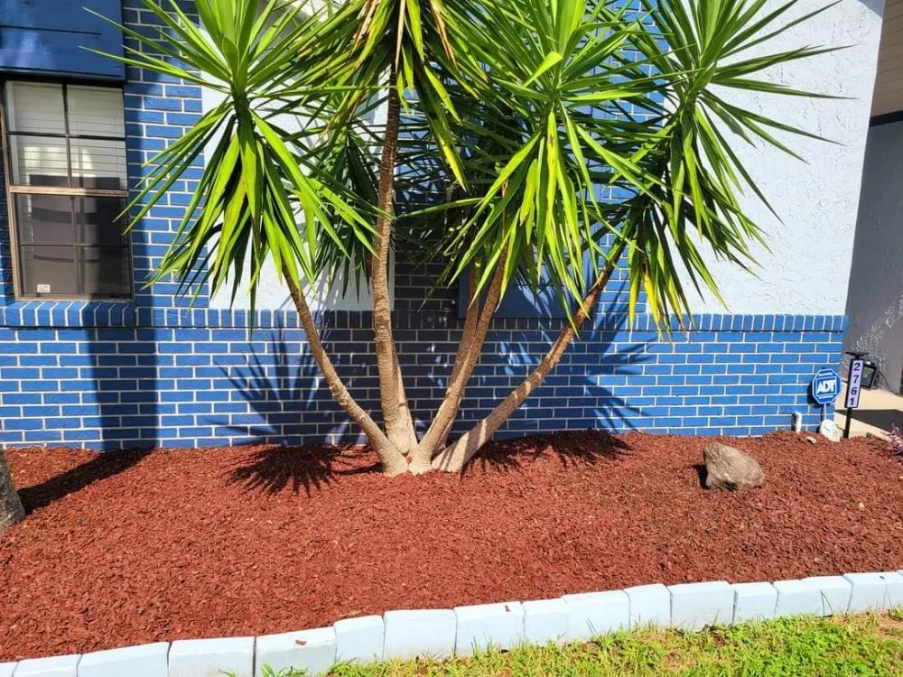 Expert garden landscaping in Orange City, FL by Louis and Stardema Elite Landscaping
